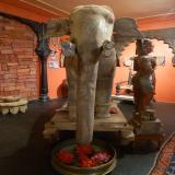images/expo-presse/galerie-expo-2018/expo2018-inde-nomade-43.jpg