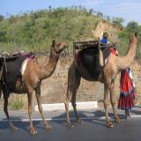 images/expo-presse/galerie-expo-2018/expo2018-inde-nomade-54.jpg
