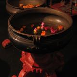 images/galeries/exposition-2010/exposition-2010-07.jpg