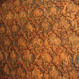 images/galeries/exposition-2010/exposition-2010-08.jpg