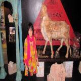 images/galeries/exposition-2014/exposition-2014-27.jpg